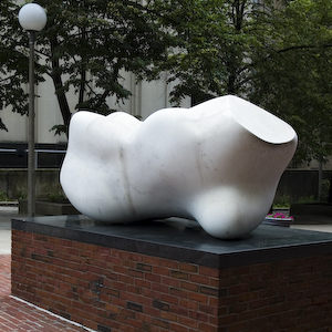 67-BAC 1X1-Human Element